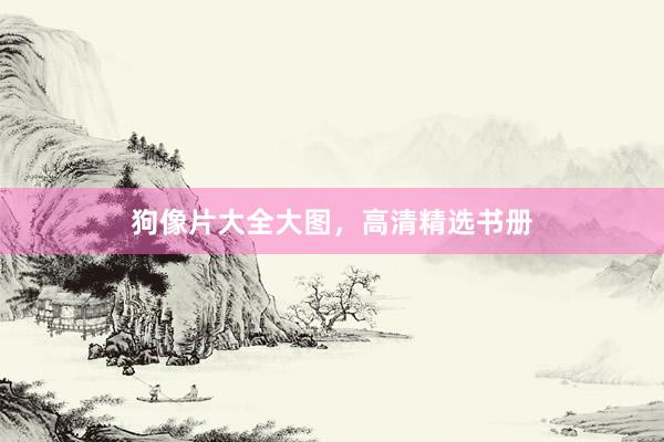 狗像片大全大图，高清精选书册