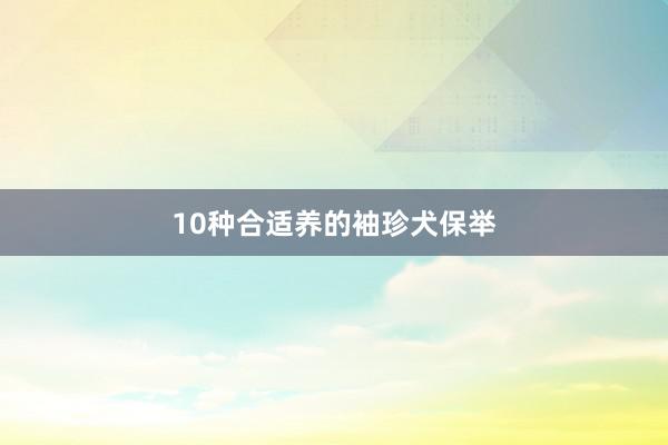 10种合适养的袖珍犬保举